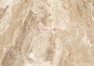  Gạch ốp lát APODIO 88283037